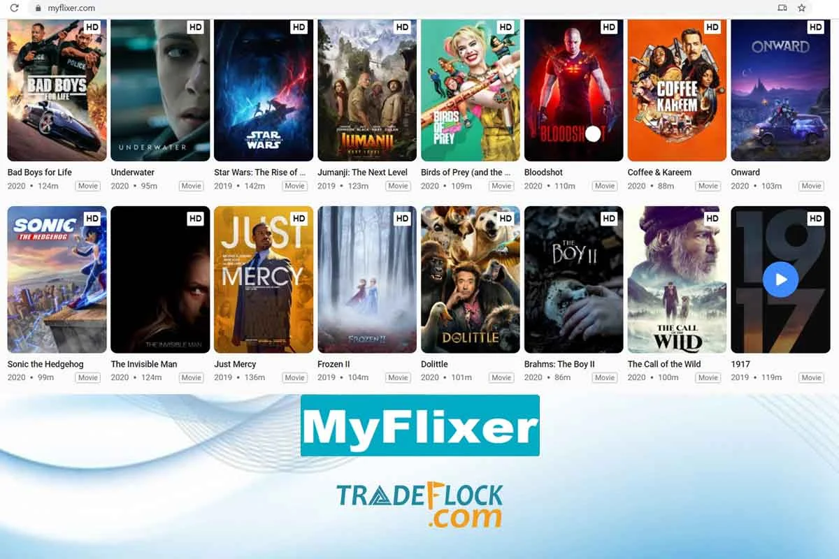 MyFlixer: Understanding the Legal and Security Risks of Using Unlicensed Streaming Services